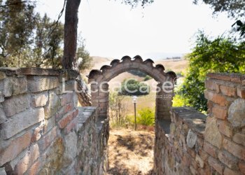 Farm Terricciola - photo 15