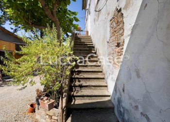 Farm Terricciola - photo 16
