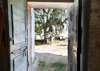 Farm Terricciola - photo 18