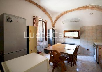 Farm Terricciola - photo 19