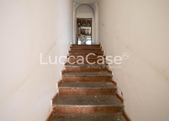 Farm Terricciola - photo 21