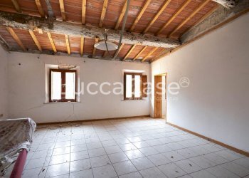 Farm Terricciola - photo 23