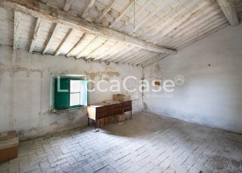 Farm Terricciola - photo 24
