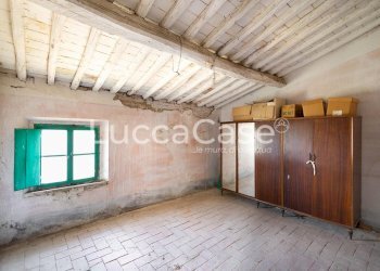 Farm Terricciola - photo 25