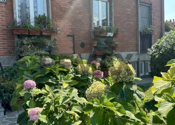 Giardino - Trilocale via padova
 
320, Milano - foto 33
