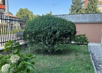 Giardino - Trilocale via padova
 
320, Milano - foto 34