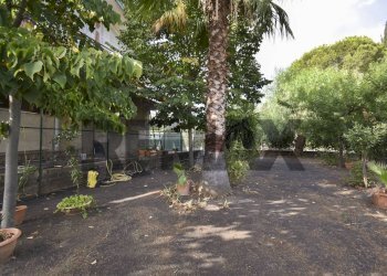 Giardino - Casa semi indipendente Via Paternò
 
333, Ragalna - foto 33
