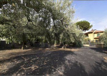 Giardino - Casa semi indipendente Via Paternò
 
333, Ragalna - foto 35