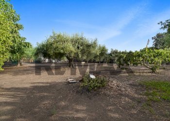 Giardino - Casa semi indipendente Via Paternò
 
333, Ragalna - foto 36