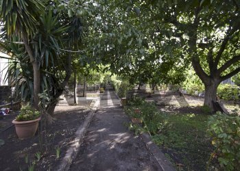 Giardino - Casa semi indipendente Via Paternò
 
333, Ragalna - foto 39