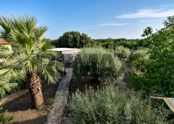 Giardino - Casa semi indipendente Via Paternò
 
333, Ragalna - foto 19