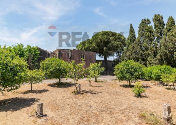 Giardino - Terreno edificabile Via San Francesco Alla Rena
 
11, Catania - foto 11