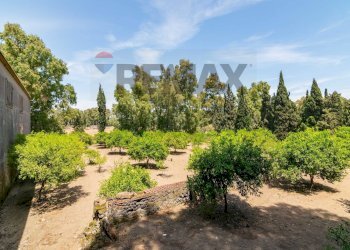 Giardino - Terreno edificabile Via San Francesco Alla Rena
 
11, Catania - foto 17