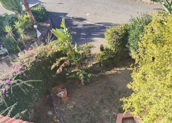 Giardino - Appartamento Viale Angelo Vasta
 
4, Catania - foto 57