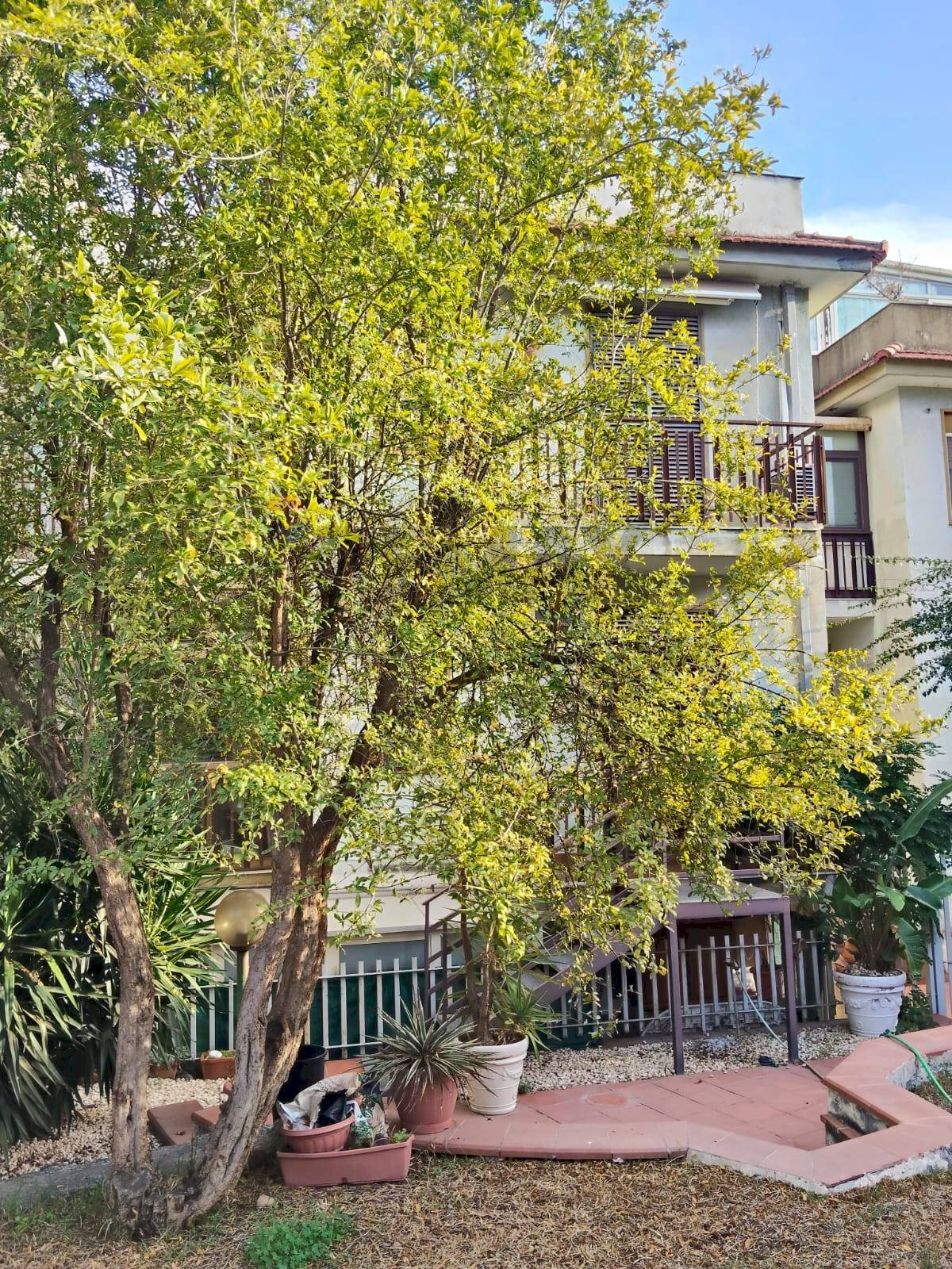 Giardino - Appartamento Viale Angelo Vasta
4, Catania - foto 2