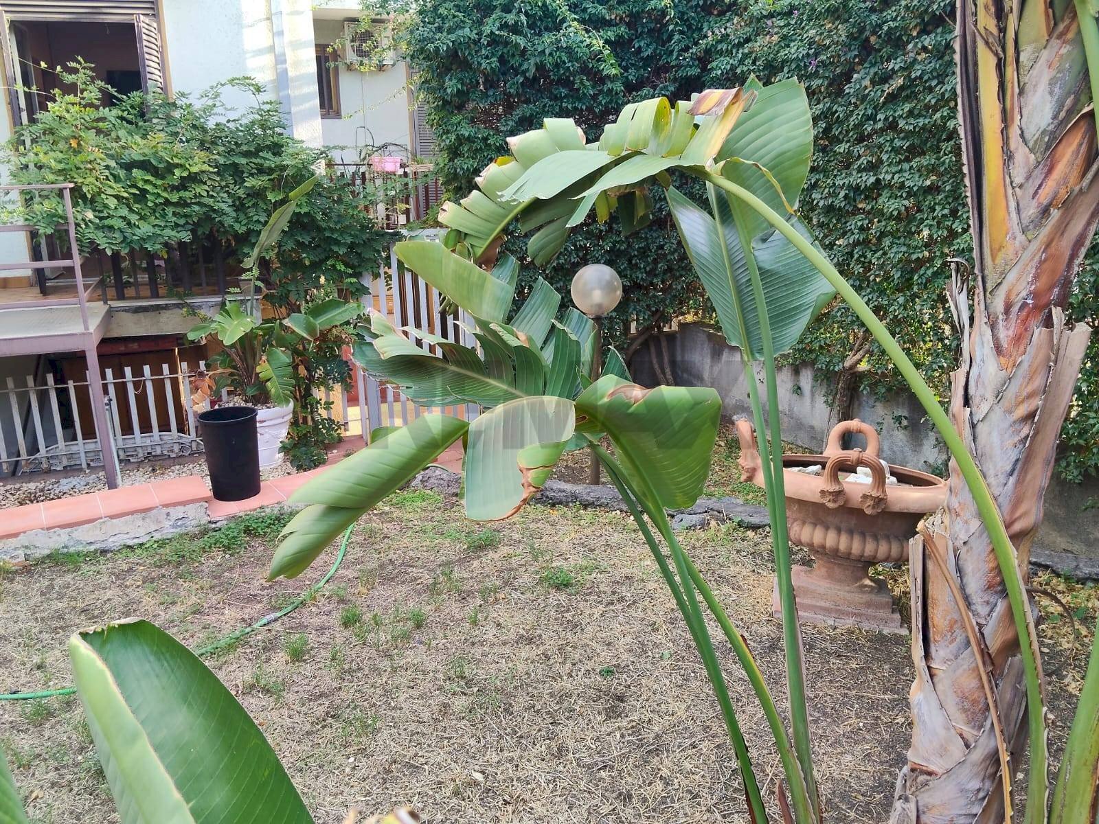 Giardino - Appartamento Viale Angelo Vasta
4, Catania - foto 3