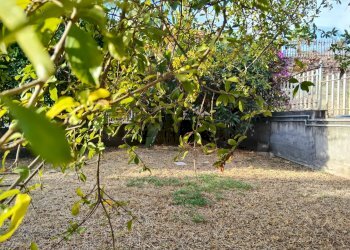 Giardino - Appartamento Viale Angelo Vasta
 
4, Catania - foto 6