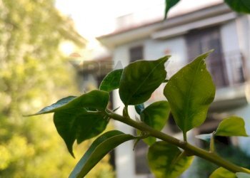 Dettagli - Appartamento Viale Angelo Vasta
 
4, Catania - foto 31