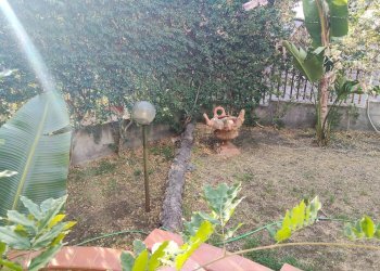 Giardino - Appartamento Viale Angelo Vasta
 
4, Catania - foto 39