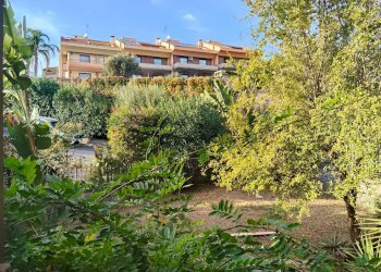 Giardino - Appartamento Viale Angelo Vasta
 
4, Catania - foto 42