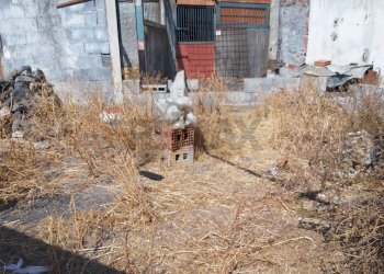 Non correlato - Casa indipendente Via Delle Calcare
 
161, Catania - foto 19
