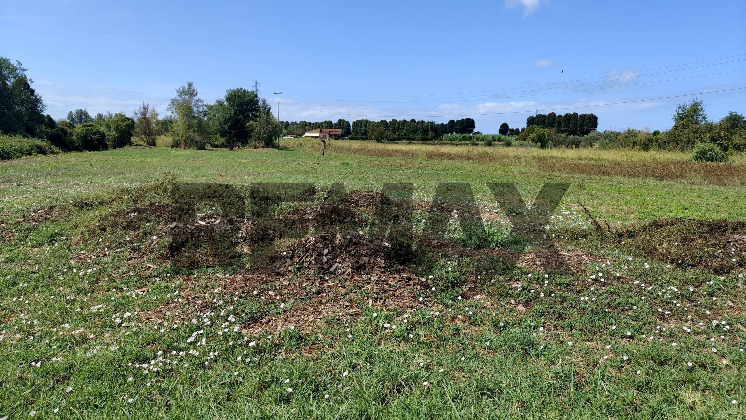 Giardino - Agricultural land VIA DEL SANTO
 
25, Massarosa - photo 1