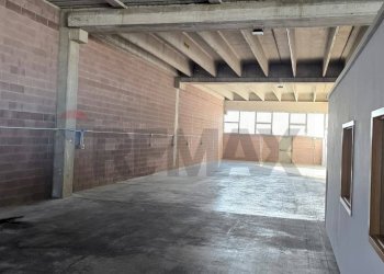 Parcheggio - Capannone Strada Statale 16
2098, Polesella - foto 4