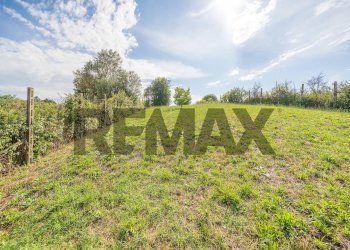 Giardino - Villa via delle coppe
 
4, San Cesareo - foto 56
