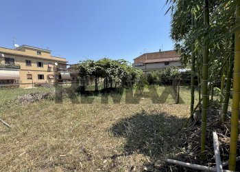 Giardino - Terreno edificabile Via Avola
57, Roma - foto 5