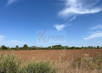 Foto 2 - Terreno agricolo località malamolere
1, Sassari - foto 1