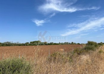 Foto 3 - Terreno agricolo località malamolere
1, Sassari - foto 2