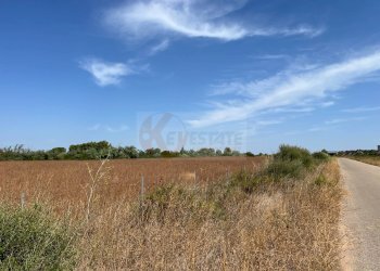 Foto 4 - Terreno agricolo località malamolere
1, Sassari - foto 3