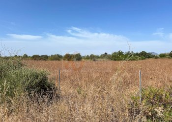 Foto 5 - Terreno agricolo località malamolere
1, Sassari - foto 4