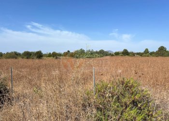 Foto 6 - Terreno agricolo località malamolere
1, Sassari - foto 5