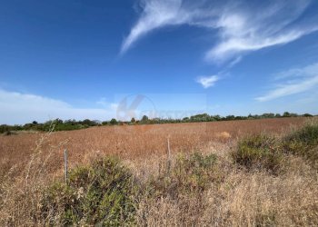 Foto 7 - Terreno agricolo località malamolere
1, Sassari - foto 6