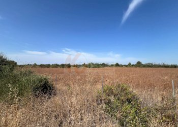 Foto 9 - Terreno agricolo località malamolere
1, Sassari - foto 8