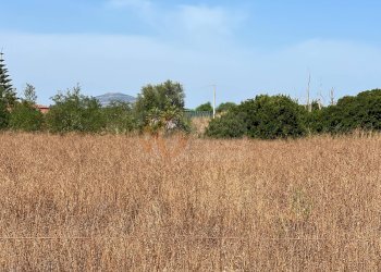 Foto 10 - Terreno agricolo località malamolere
1, Sassari - foto 9