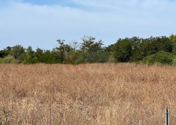 Foto 11 - Terreno agricolo località malamolere
1, Sassari - foto 10