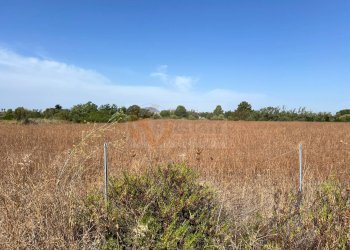 Foto 13 - Terreno agricolo località malamolere
1, Sassari - foto 12