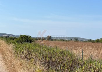 Foto 15 - Terreno agricolo località malamolere
1, Sassari - foto 14