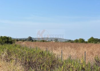Foto 17 - Terreno agricolo località malamolere
1, Sassari - foto 16