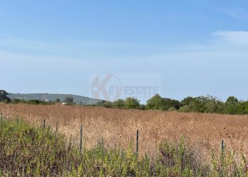 Foto 18 - Terreno agricolo località malamolere
1, Sassari - foto 17