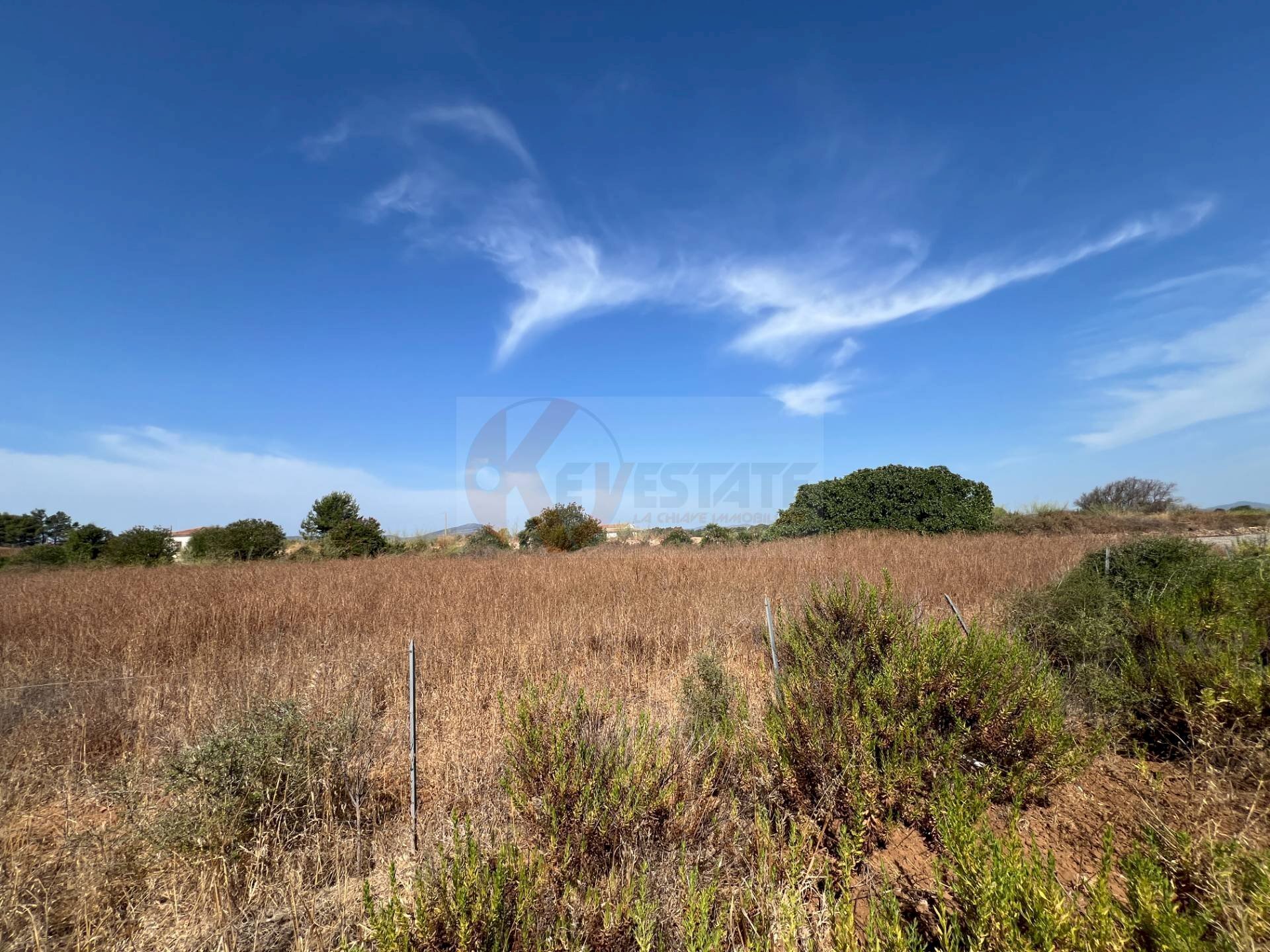 Foto 5 - Terreno agricolo località malamolere, Sassari - foto 3
