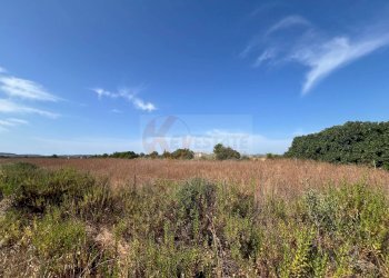 Foto 3 - Terreno agricolo località malamolere, Sassari - foto 1