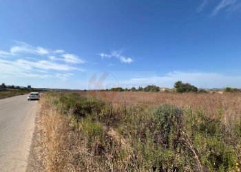 Foto 4 - Terreno agricolo località malamolere, Sassari - foto 2
