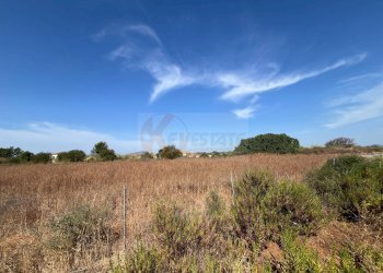 Foto 5 - Terreno agricolo località malamolere, Sassari - foto 3