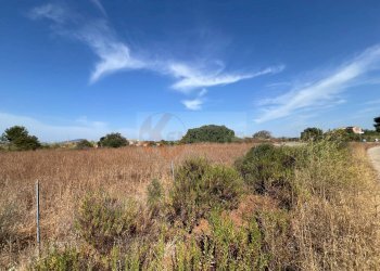 Foto 6 - Terreno agricolo località malamolere, Sassari - foto 4