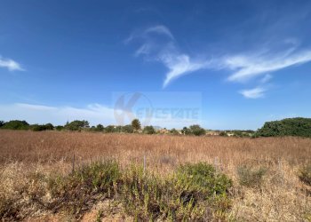 Foto 7 - Terreno agricolo località malamolere, Sassari - foto 5