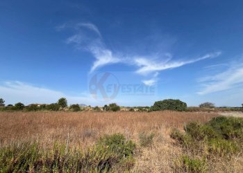 Foto 8 - Terreno agricolo località malamolere, Sassari - foto 6