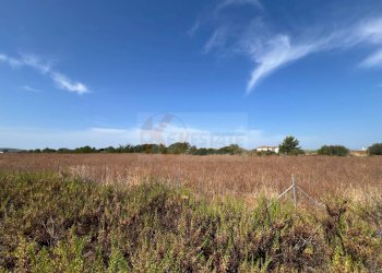 Foto 9 - Terreno agricolo località malamolere, Sassari - foto 7
